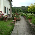 Rossini * Lucca
